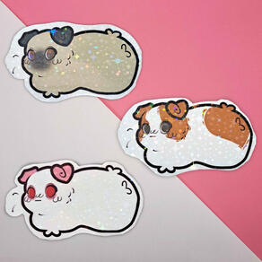 Świnka morska gładka - 3,5 cm